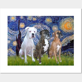 Starry Night with Three Boxers (natural ears) Posters and Art